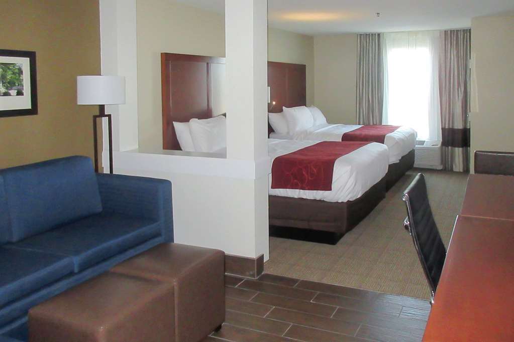 Comfort Suites Боулинг Грин Номер фото